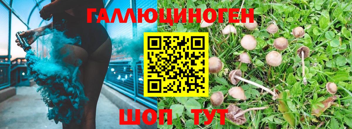 Луга  Галлюциногенные грибы GOLDEN TEACHER  Вход с VPN 