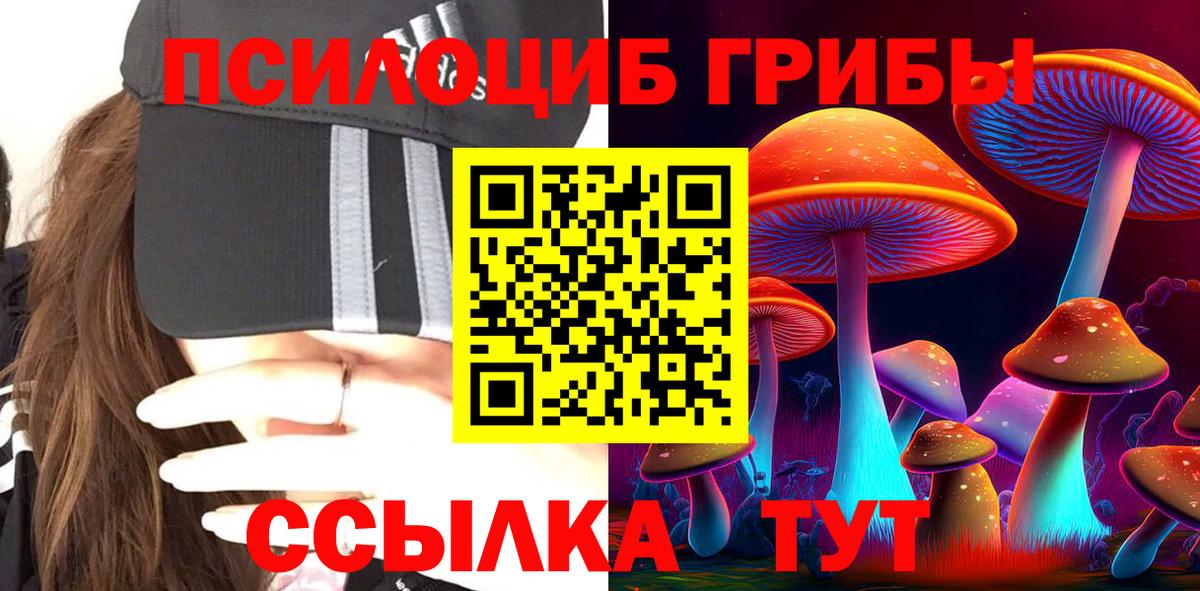 Псилоцибиновые грибы MAGIC MUSHROOMS Луга